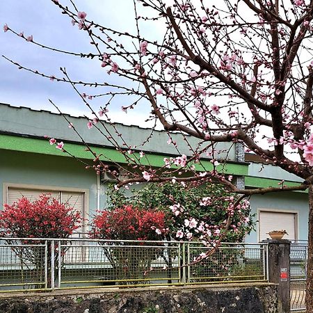 Affittacamere La Foresta Di Sopra Barga Exterior foto
